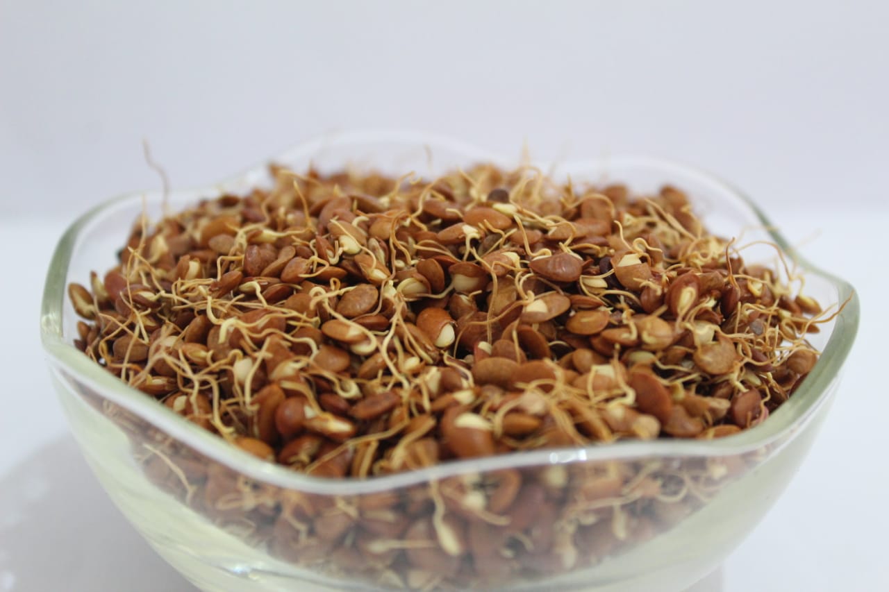 Industrial Robot Arm